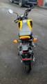 Picture of 2022 HONDA GROM 125