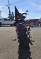 Picture of 2018 Harley-Davidson Sport Glide FLSB 128CI