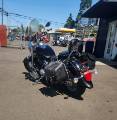 Picture of 2009 Yamaha V-Star 650 Custom Raven