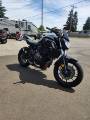 Picture of 2019 Yamaha MT-07