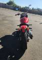 Picture of 2016 Indian Scout