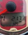 Picture of 2019 Indian Scout – Two-Tone | ABS